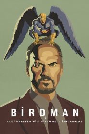 Birdman [HD] (2015)