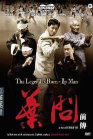 The Legend Is Born: Ip Man [HD] (2010) CB01