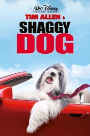 Shaggy Dog – Papà che abbaia non morde (2006) CB01