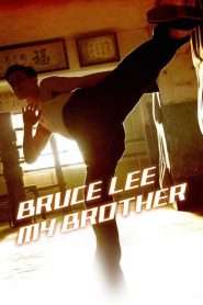 Bruce Lee, My Brother [Sub-ITA] (2010) CB01
