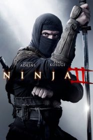 Ninja: Shadow of a Tear [Sub-ITA] (2013) CB01