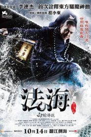 The Sorcerer and the White Snake [Sub-ITA] (2011) CB01