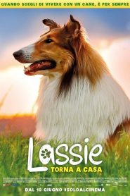 Lassie torna a casa [HD] (2020) CB01