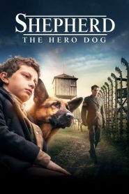 Shepherd: The Hero Dog [HD] (2020) CB01