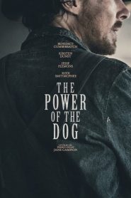 Il potere del cane [HD] (2021) CB01
