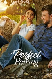 A Perfect Pairing [HD] (2022) CB01