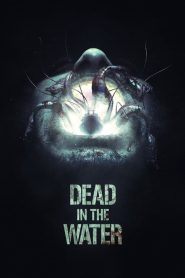 Dead in the Water [HD] (2018) CB01