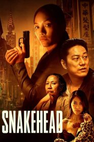 Snakehead – I boss di Chinatown (2021) CB01