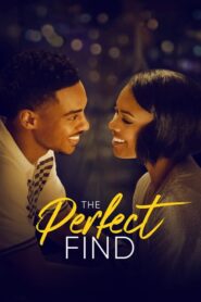 The Perfect Find – Tutto è davvero possibile [HD] (2023) CB01