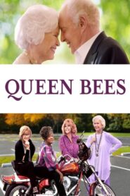 Queen Bees (2021) CB01